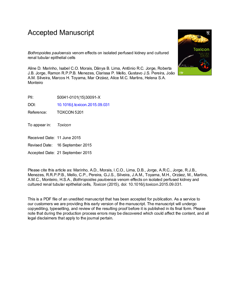 Bothropoides pauloensis venom effects on isolated perfused kidney and cultured renal tubular epithelial cells