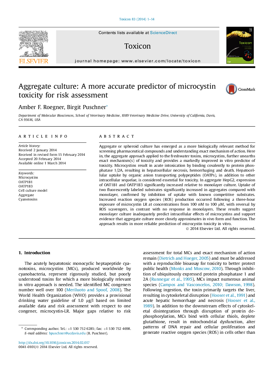 Aggregate culture: A more accurate predictor of microcystin toxicity for risk assessment