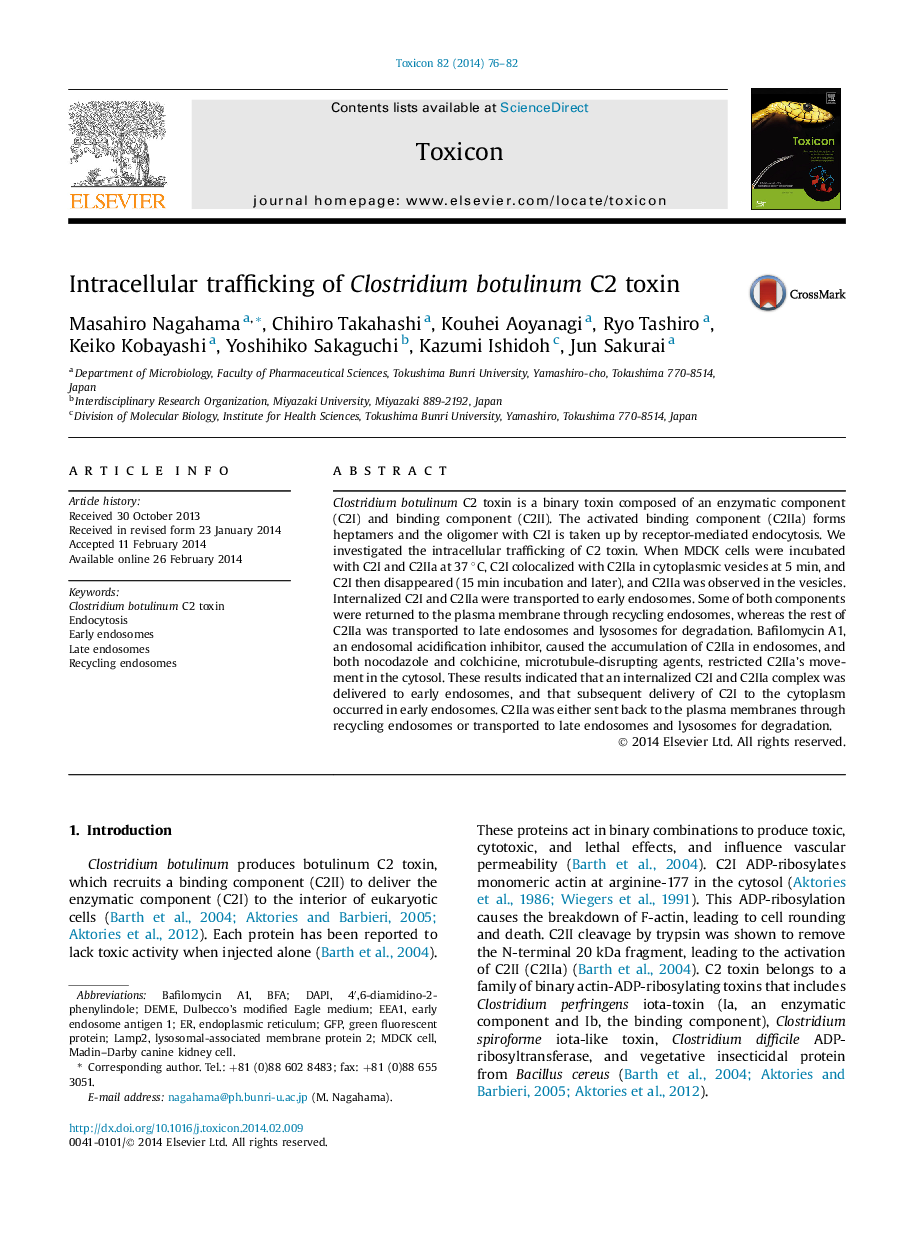 Intracellular trafficking of Clostridium botulinum C2 toxin