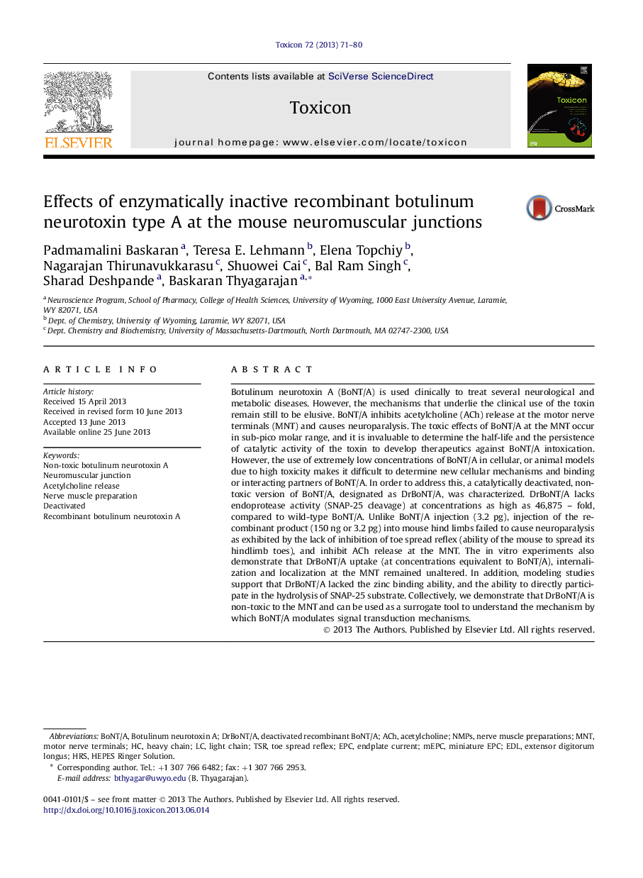 Effects of enzymatically inactive recombinant botulinum neurotoxin type A at the mouse neuromuscular junctions