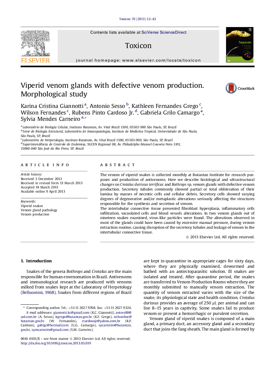 Viperid venom glands with defective venom production. Morphological study