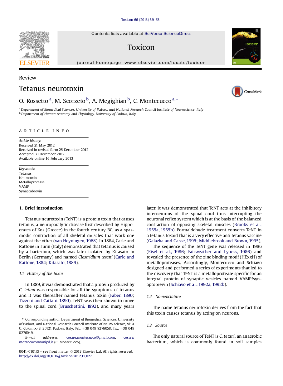 Tetanus neurotoxin