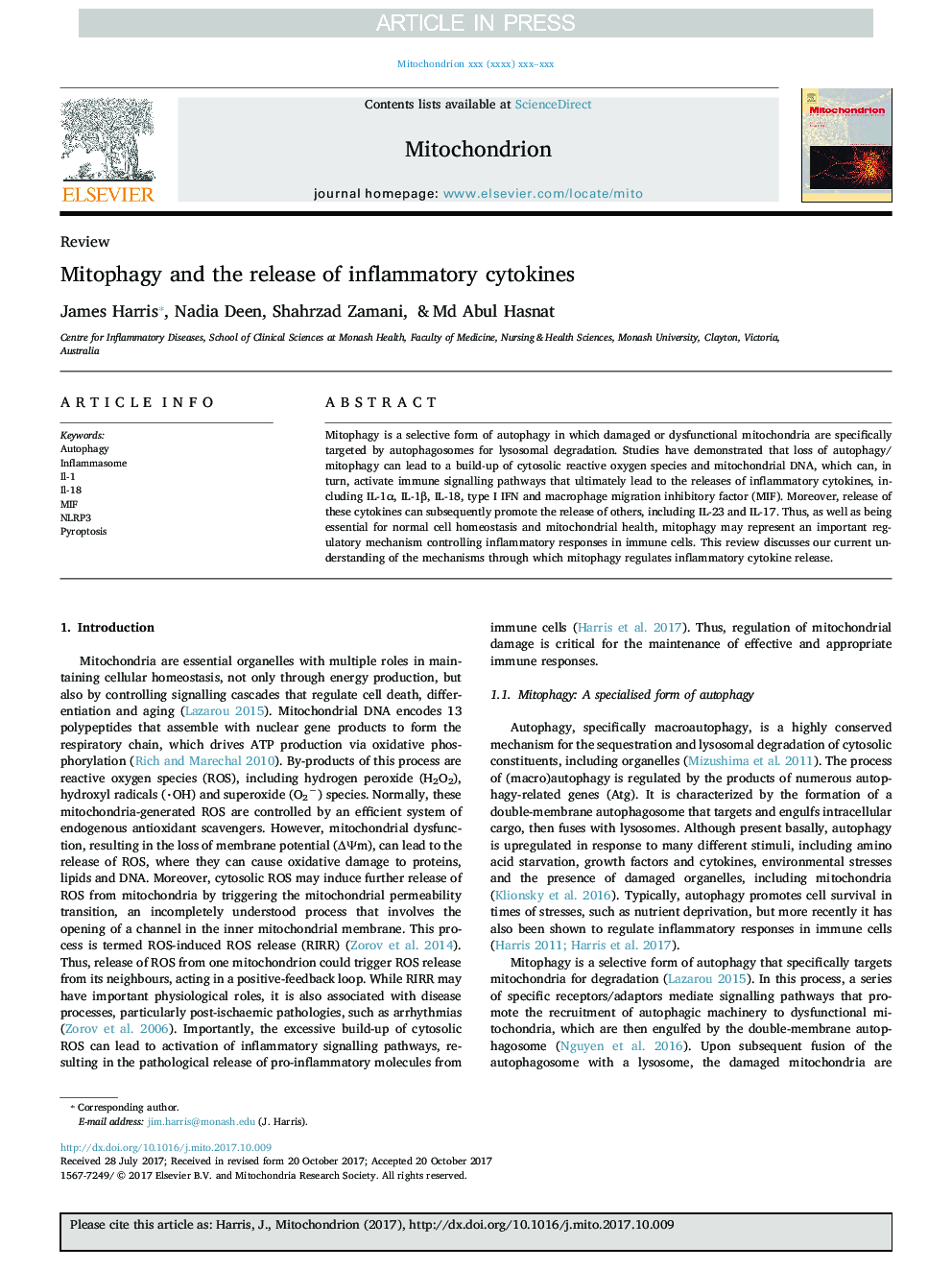 Mitophagy and the release of inflammatory cytokines