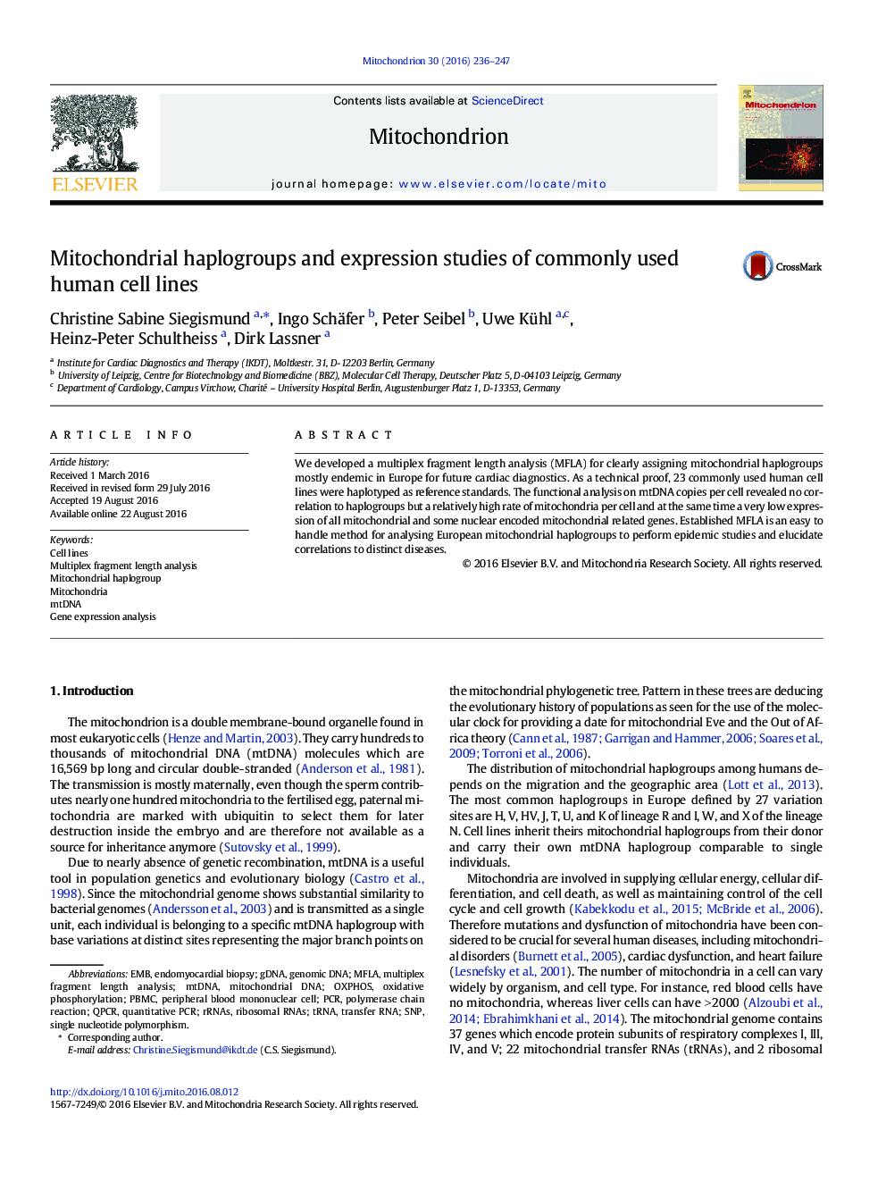 Mitochondrial haplogroups and expression studies of commonly used human cell lines