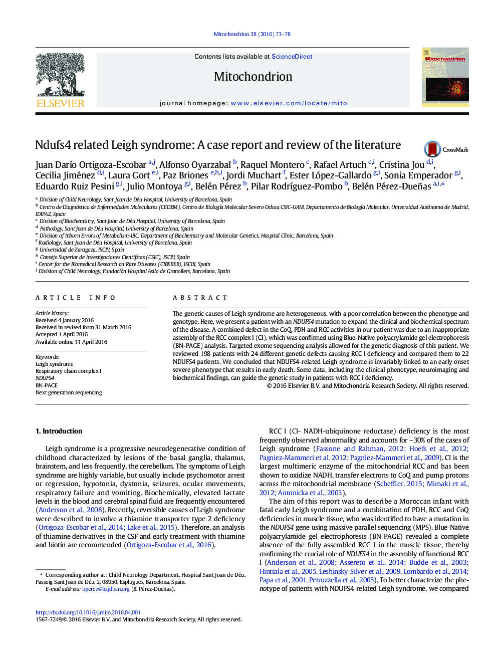 Ndufs4 related Leigh syndrome: A case report and review of the literature