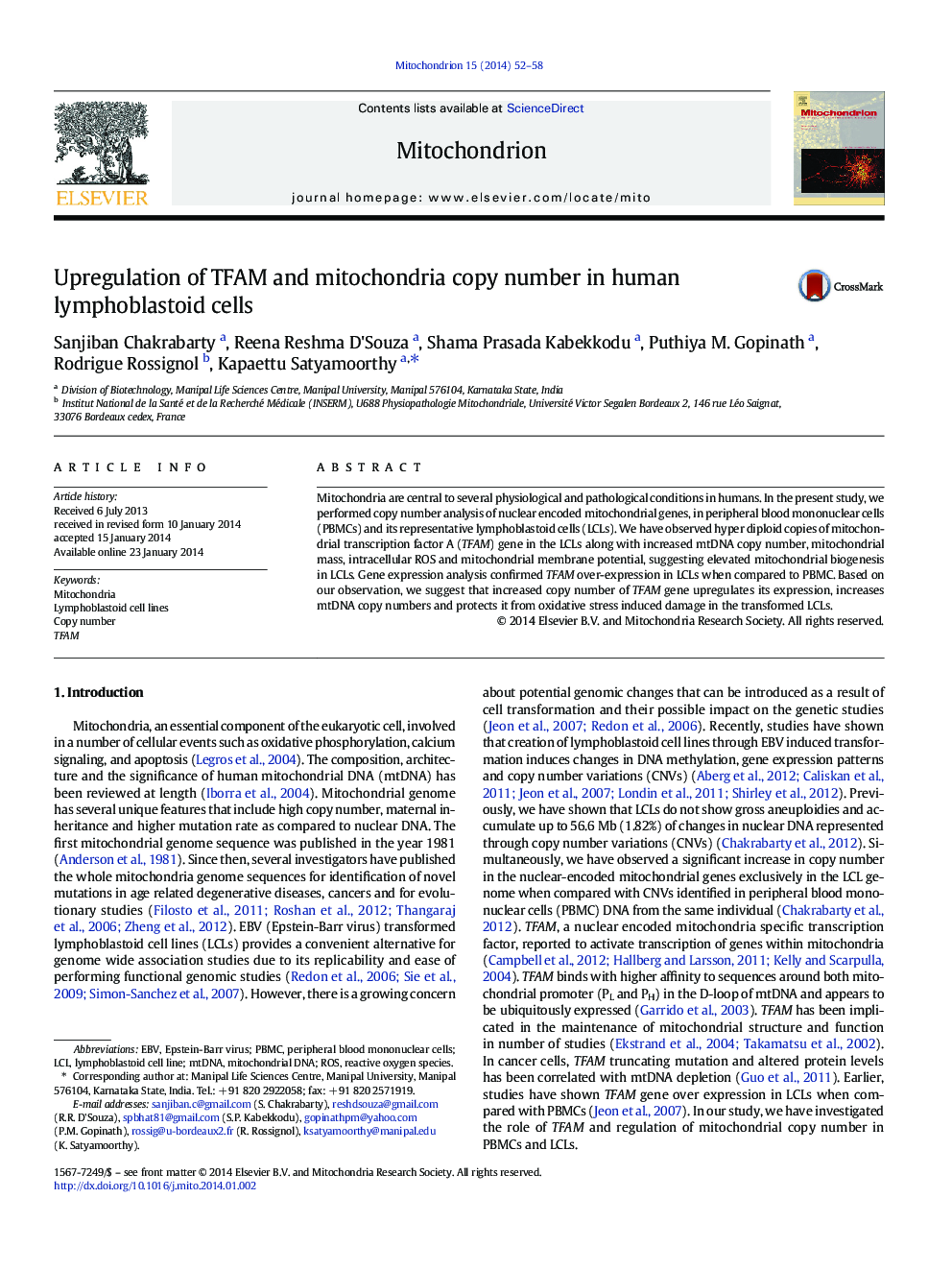 Upregulation of TFAM and mitochondria copy number in human lymphoblastoid cells