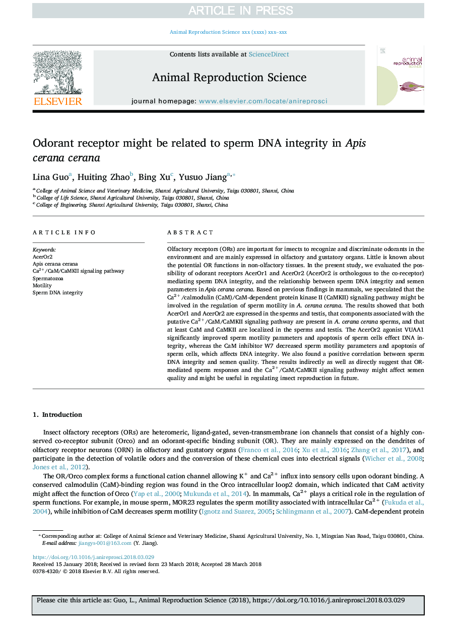 Odorant receptor might be related to sperm DNA integrity in Apis cerana cerana