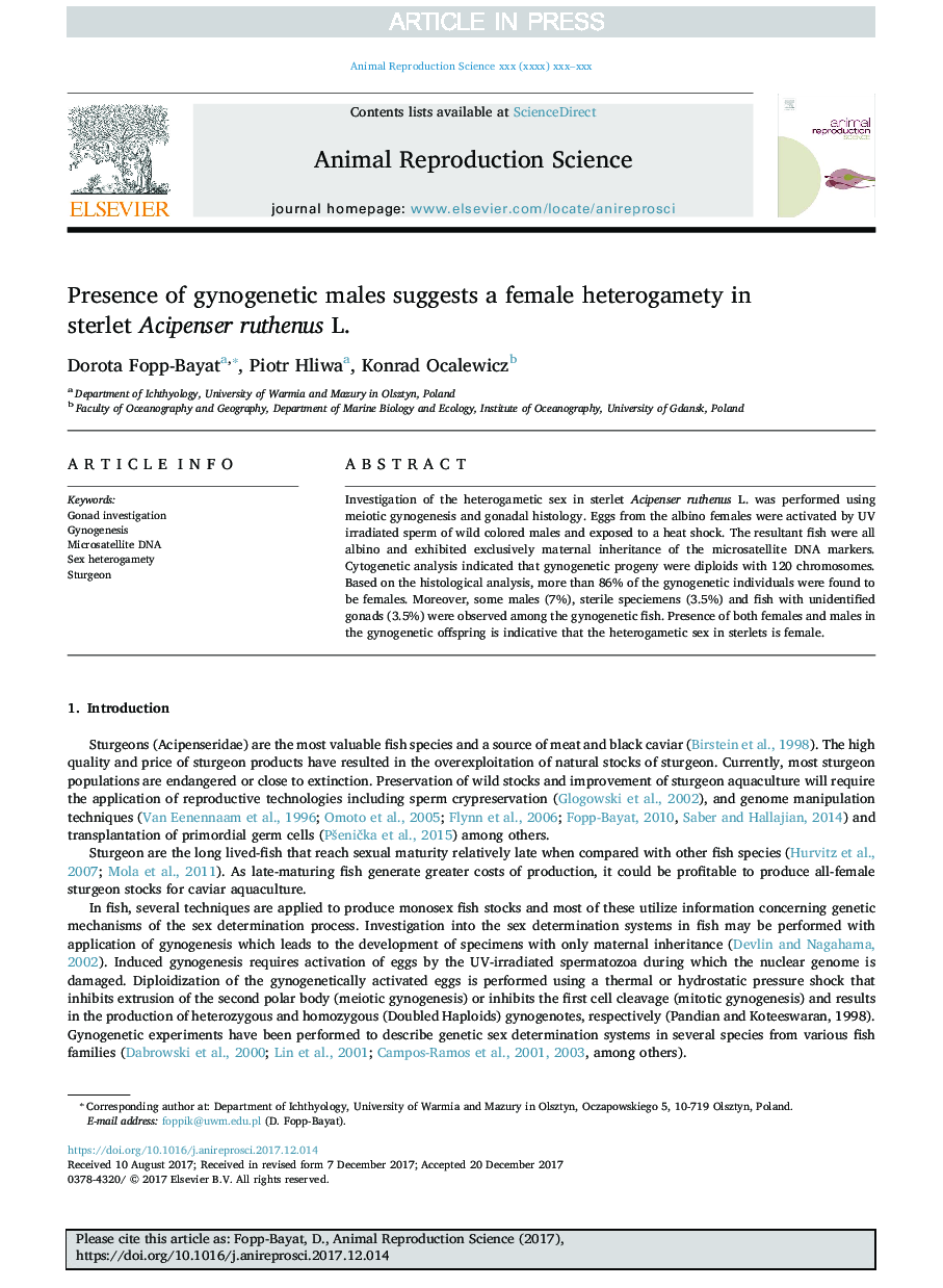 Presence of gynogenetic males suggests a female heterogamety in sterlet Acipenser ruthenus L.