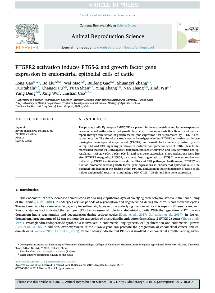 PTGER2 activation induces PTGS-2 and growth factor gene expression in endometrial epithelial cells of cattle