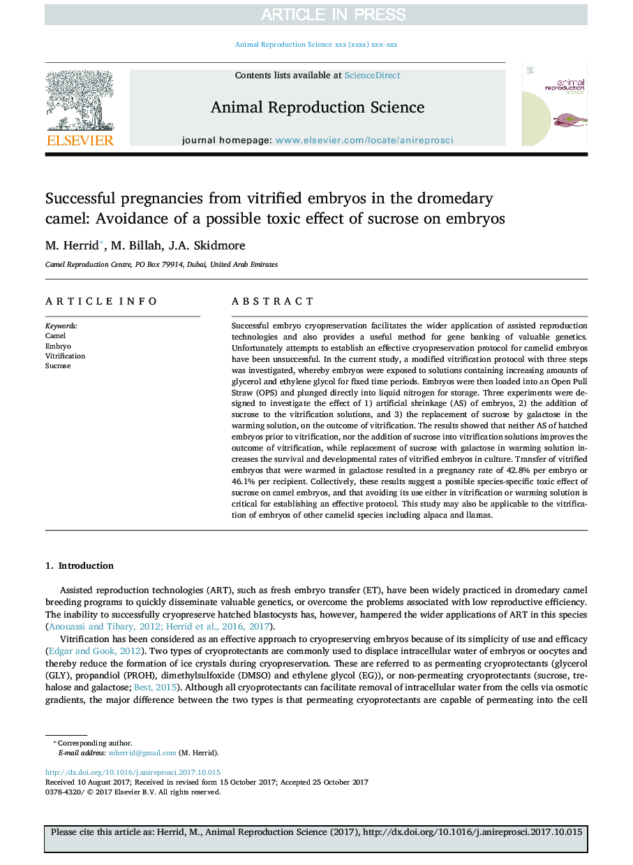 Successful pregnancies from vitrified embryos in the dromedary camel: Avoidance of a possible toxic effect of sucrose on embryos