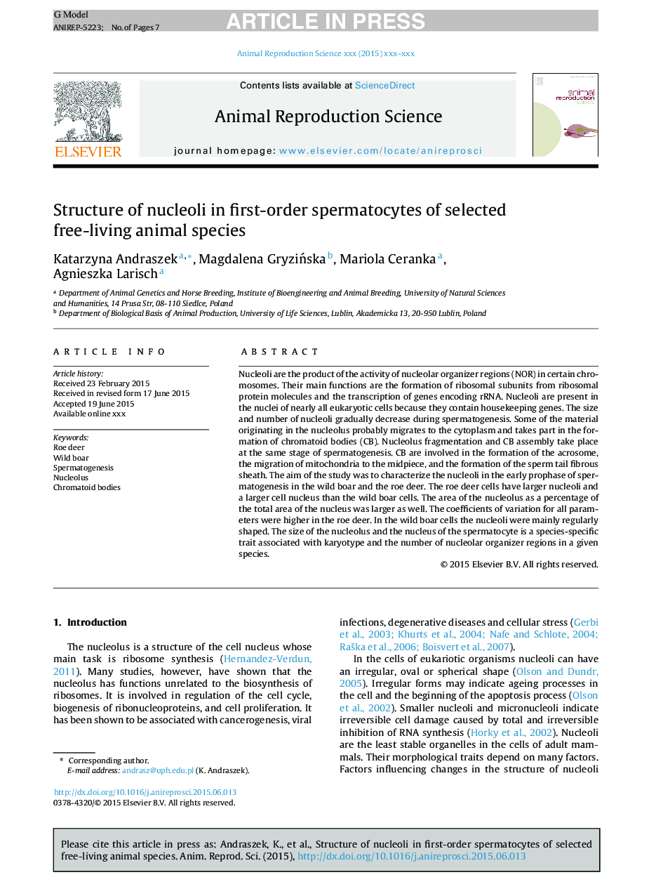 Structure of nucleoli in first-order spermatocytes of selected free-living animal species