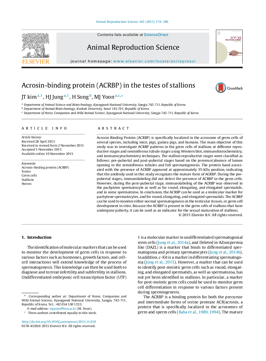 Acrosin-binding protein (ACRBP) in the testes of stallions