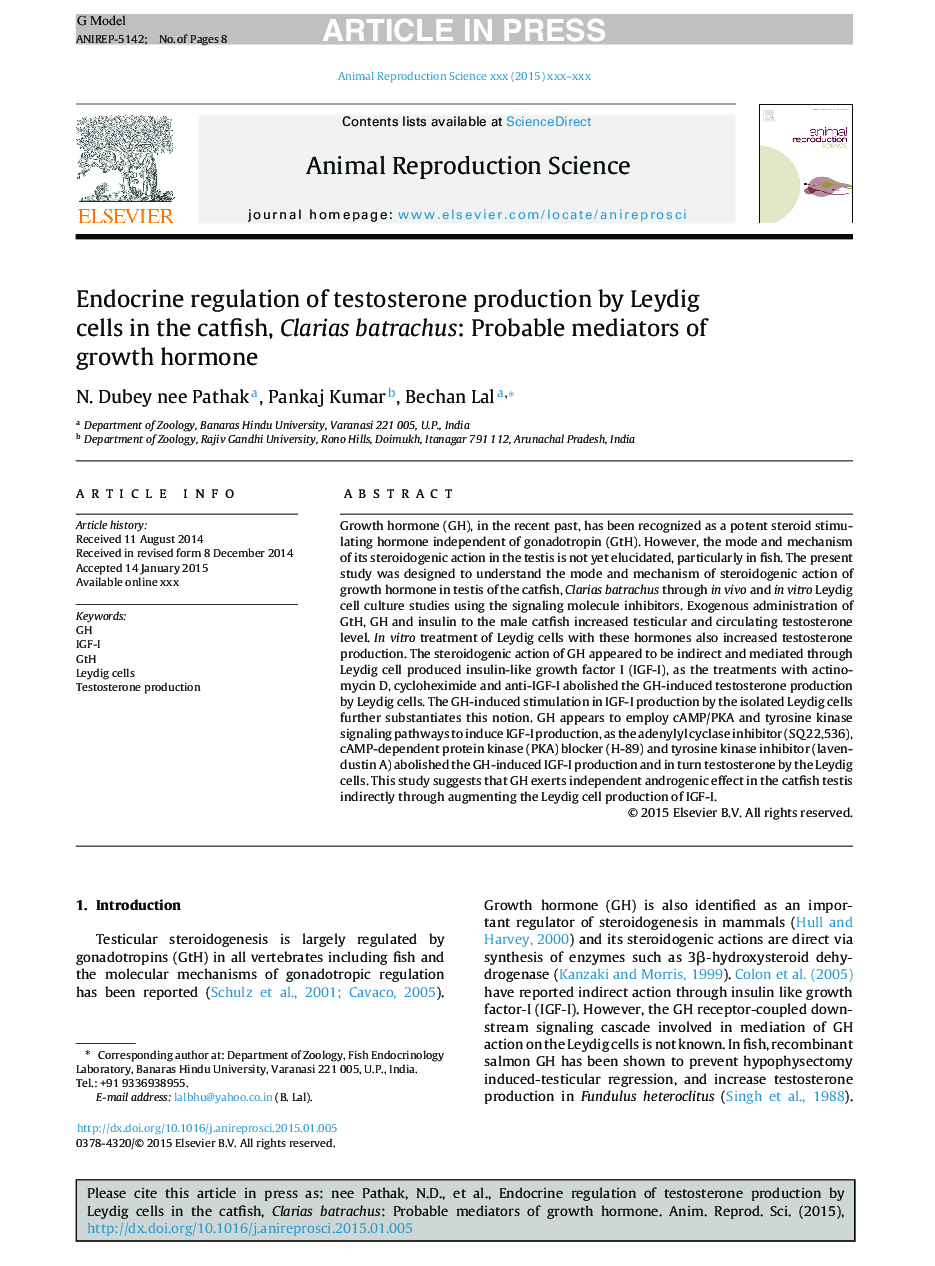 Endocrine regulation of testosterone production by Leydig cells in the catfish, Clarias batrachus: Probable mediators of growth hormone