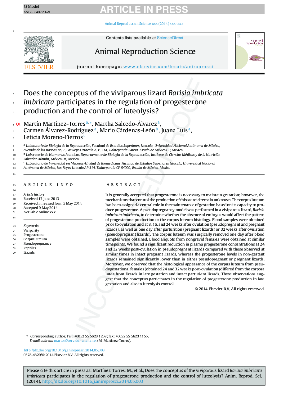 Does the conceptus of the viviparous lizard Barisia imbricata imbricata participates in the regulation of progesterone production and the control of luteolysis?