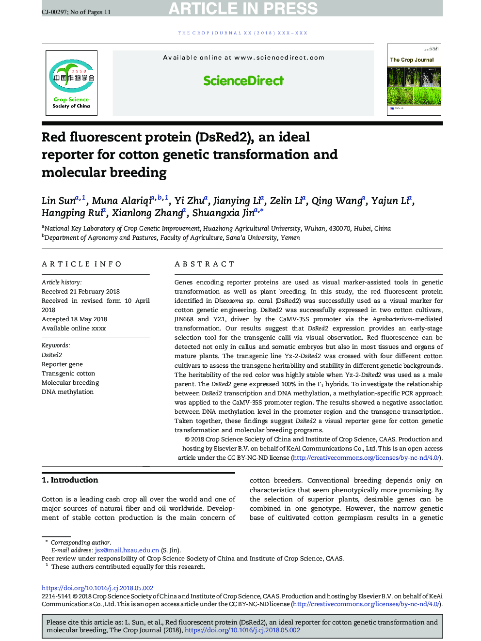 Red fluorescent protein (DsRed2), an ideal reporter for cotton genetic transformation and molecular breeding