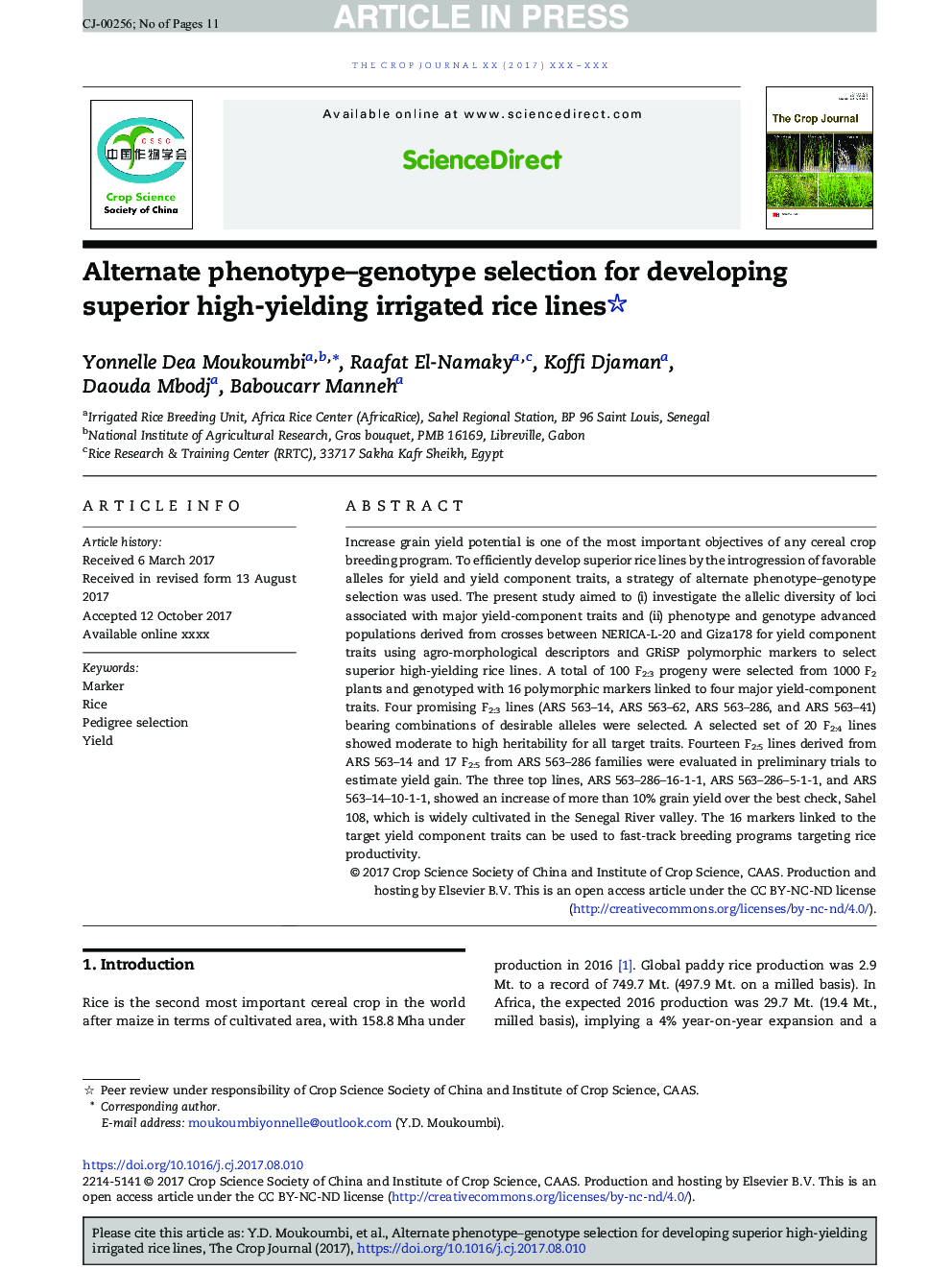 Alternate phenotype-genotype selection for developing superior high-yielding irrigated rice lines