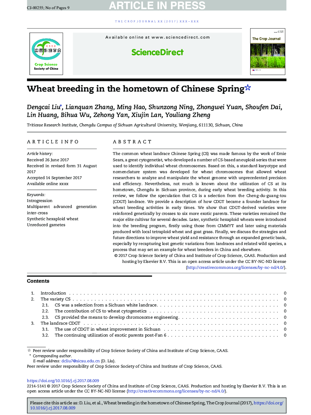 Wheat breeding in the hometown of Chinese Spring