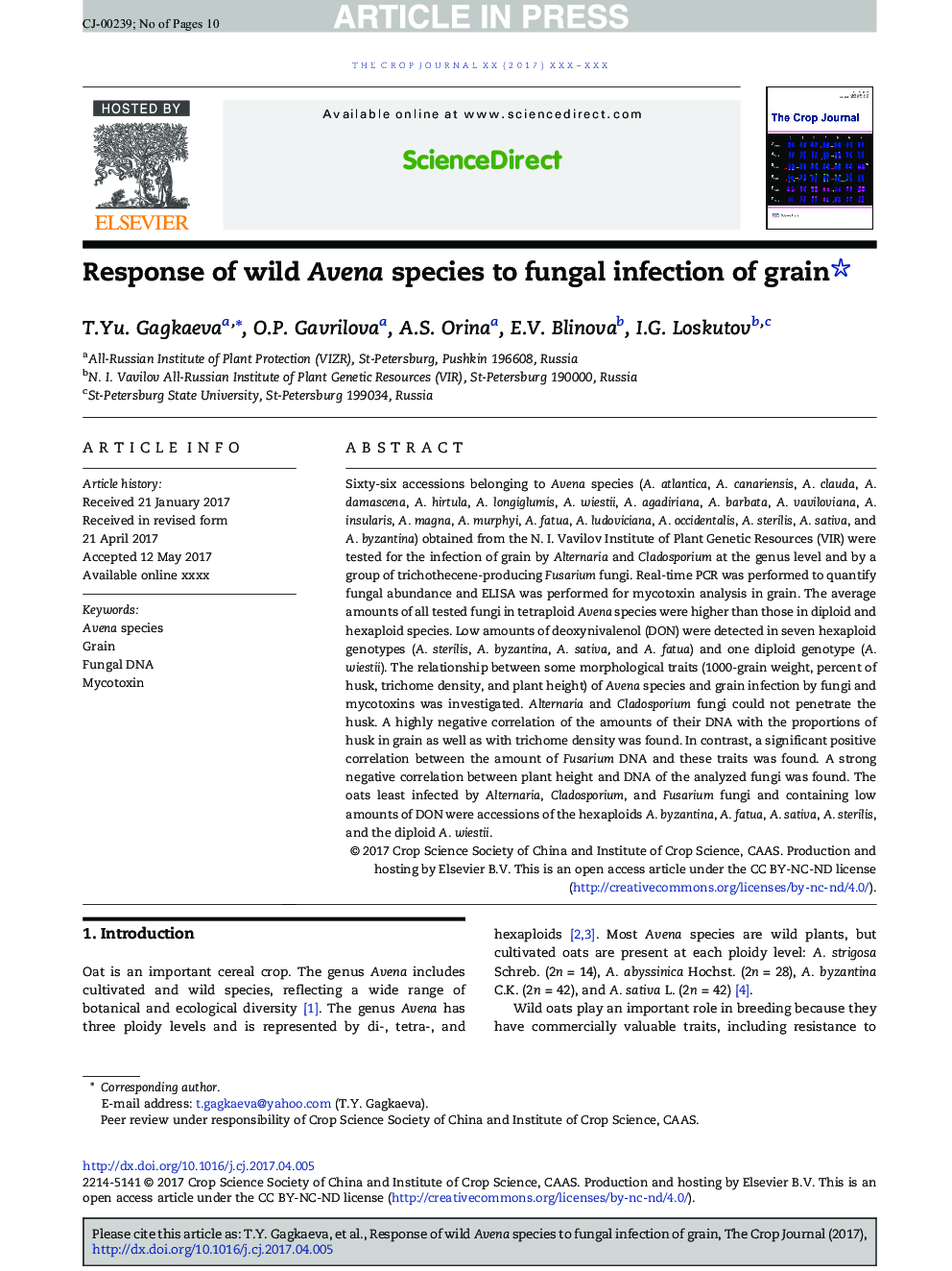 Response of wild Avena species to fungal infection of grain