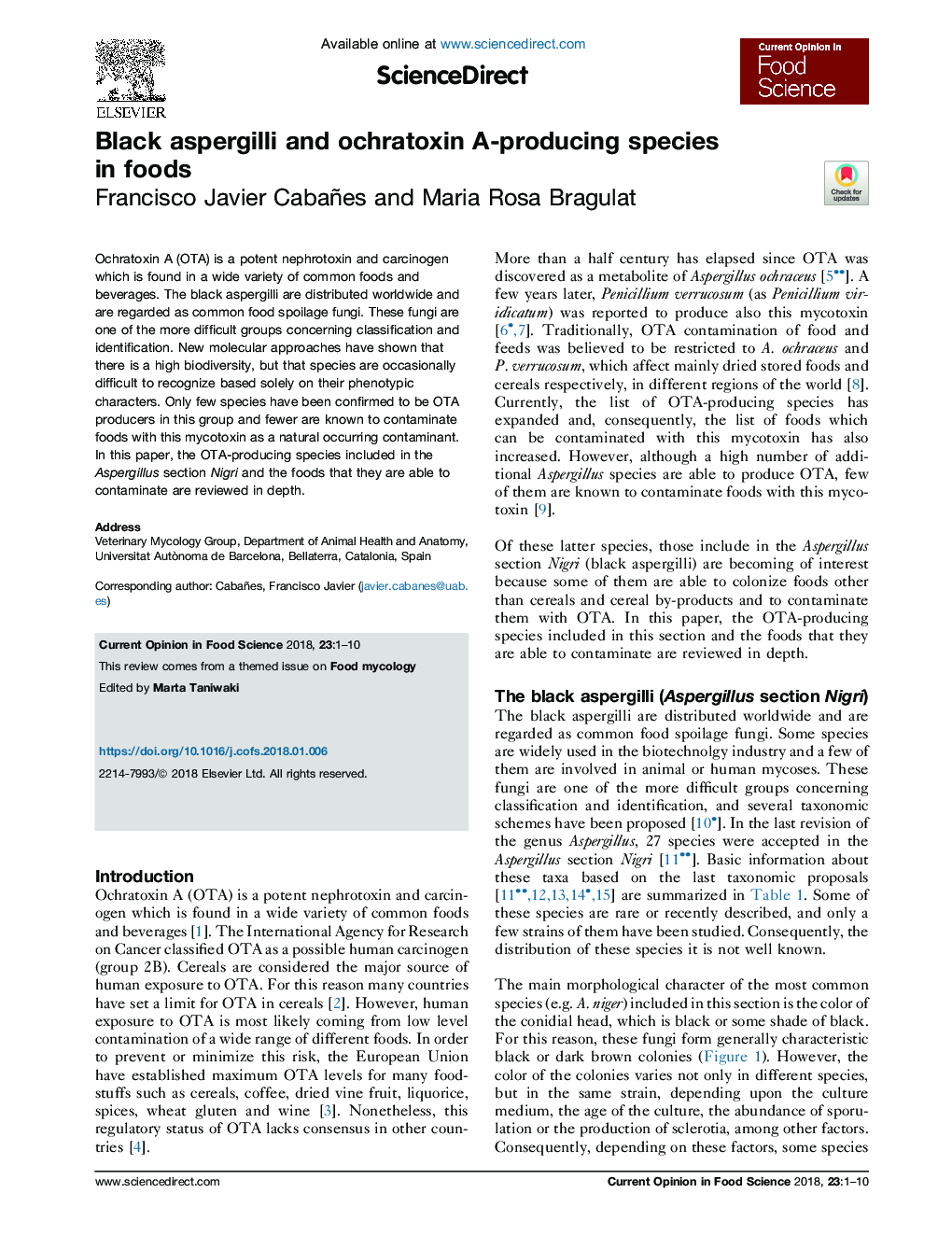 Black aspergilli and ochratoxin A-producing species in foods