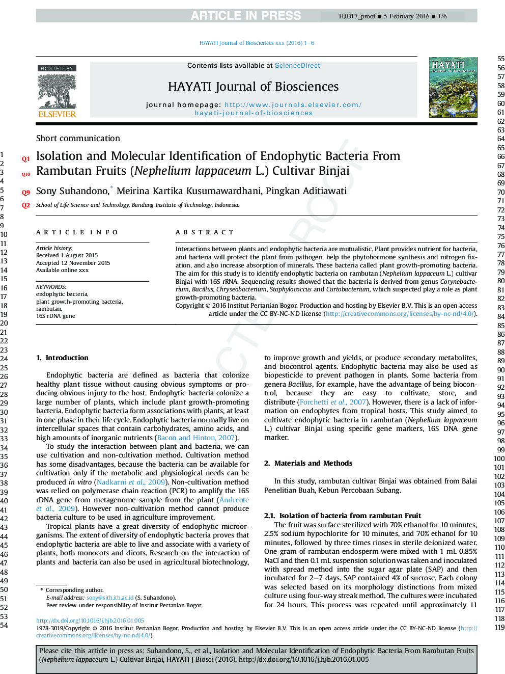 Isolation and Molecular Identification of Endophytic Bacteria From Rambutan Fruits (Nephelium lappaceum L.) Cultivar Binjai
