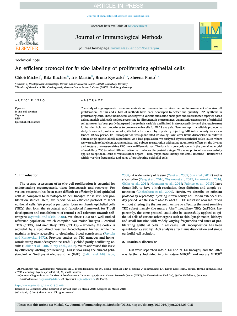 An efficient protocol for in vivo labeling of proliferating epithelial cells