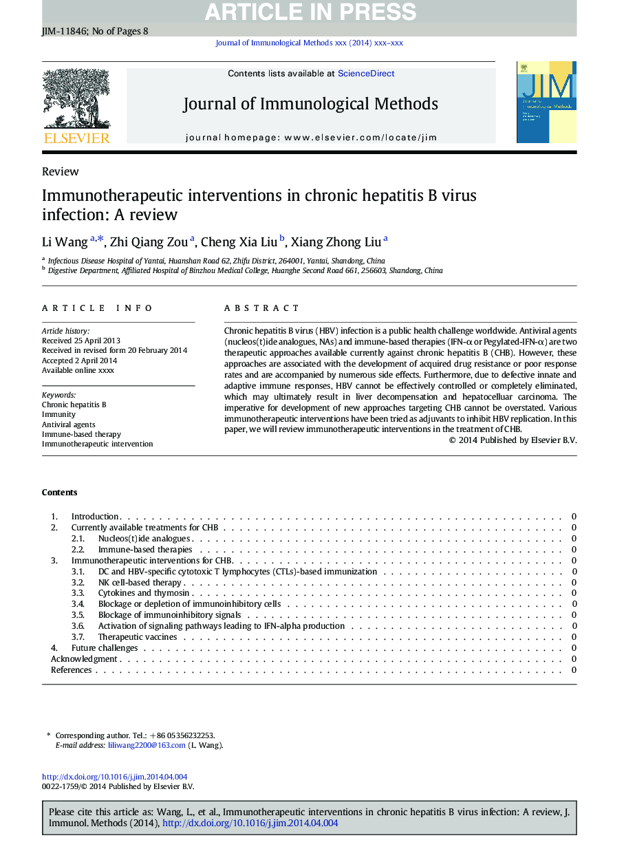 Immunotherapeutic interventions in chronic hepatitis B virus infection: A review