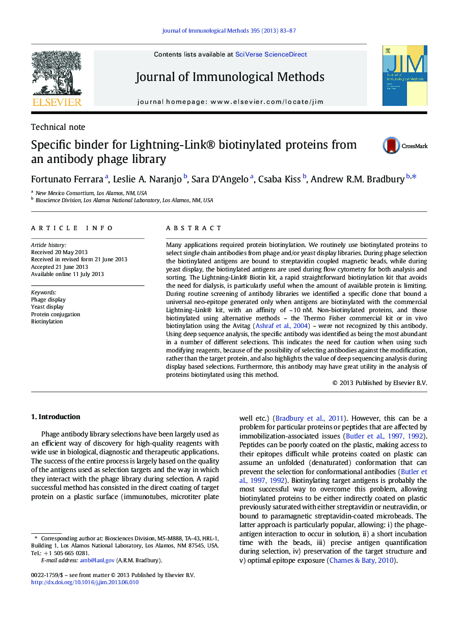 Specific binder for Lightning-Link® biotinylated proteins from an antibody phage library