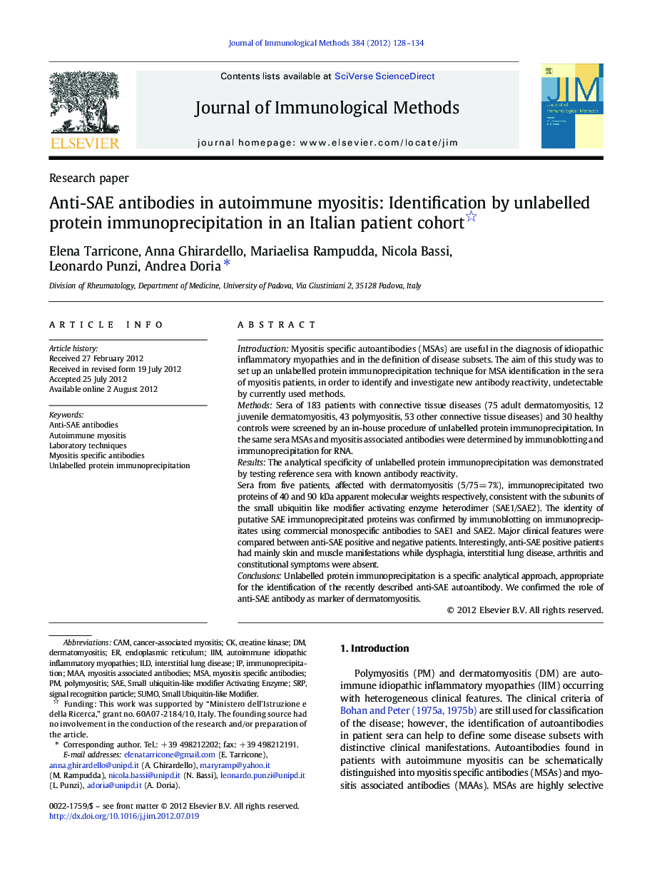 Anti-SAE antibodies in autoimmune myositis: Identification by unlabelled protein immunoprecipitation in an Italian patient cohort