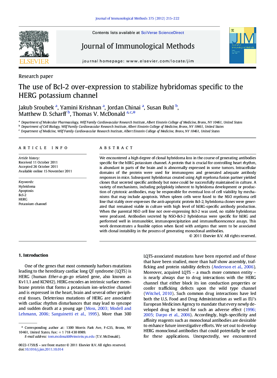 The use of Bcl-2 over-expression to stabilize hybridomas specific to the HERG potassium channel