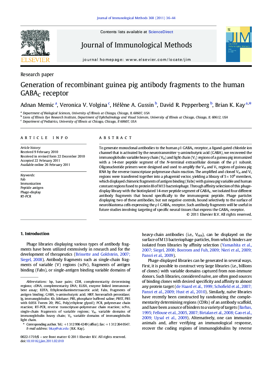 Generation of recombinant guinea pig antibody fragments to the human GABAC receptor