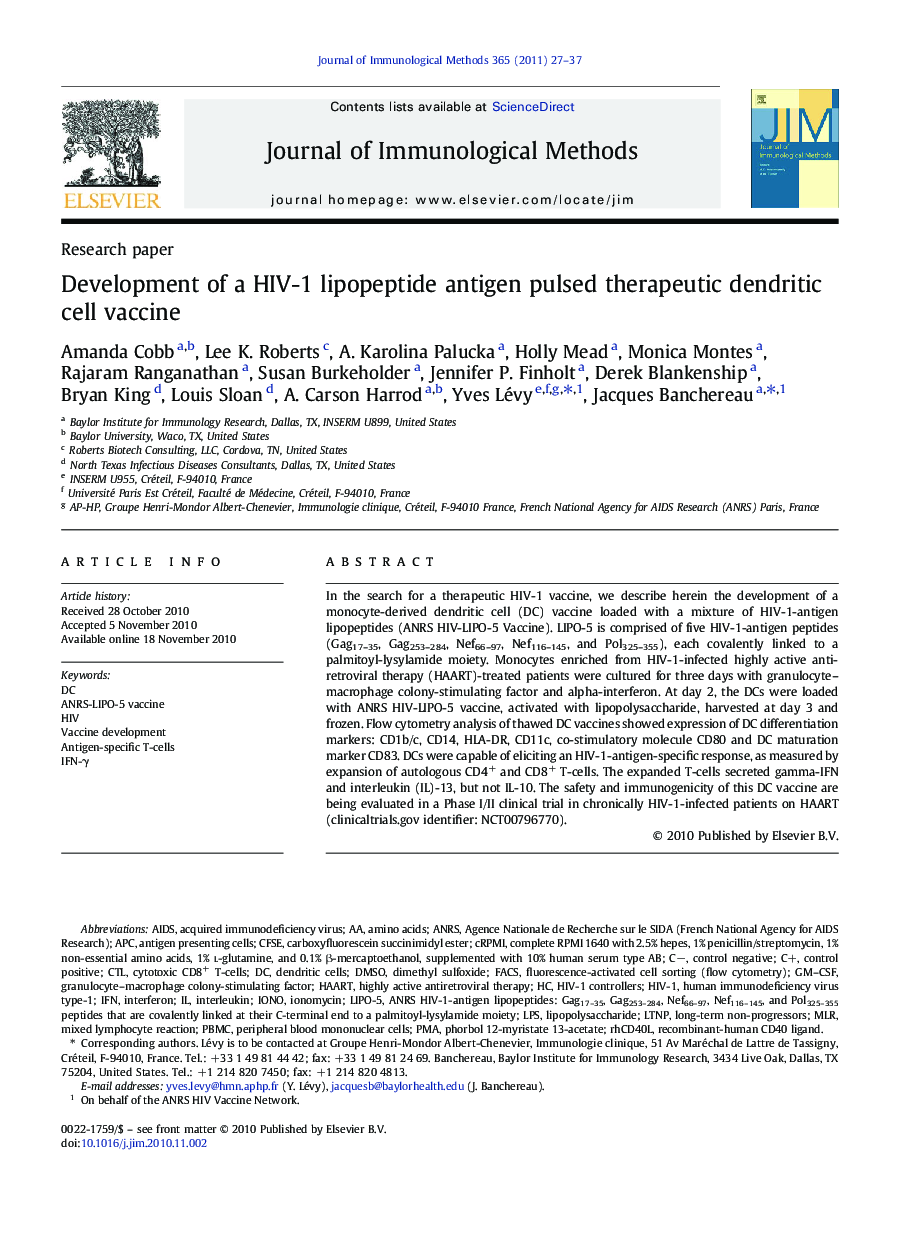 Development of a HIV-1 lipopeptide antigen pulsed therapeutic dendritic cell vaccine