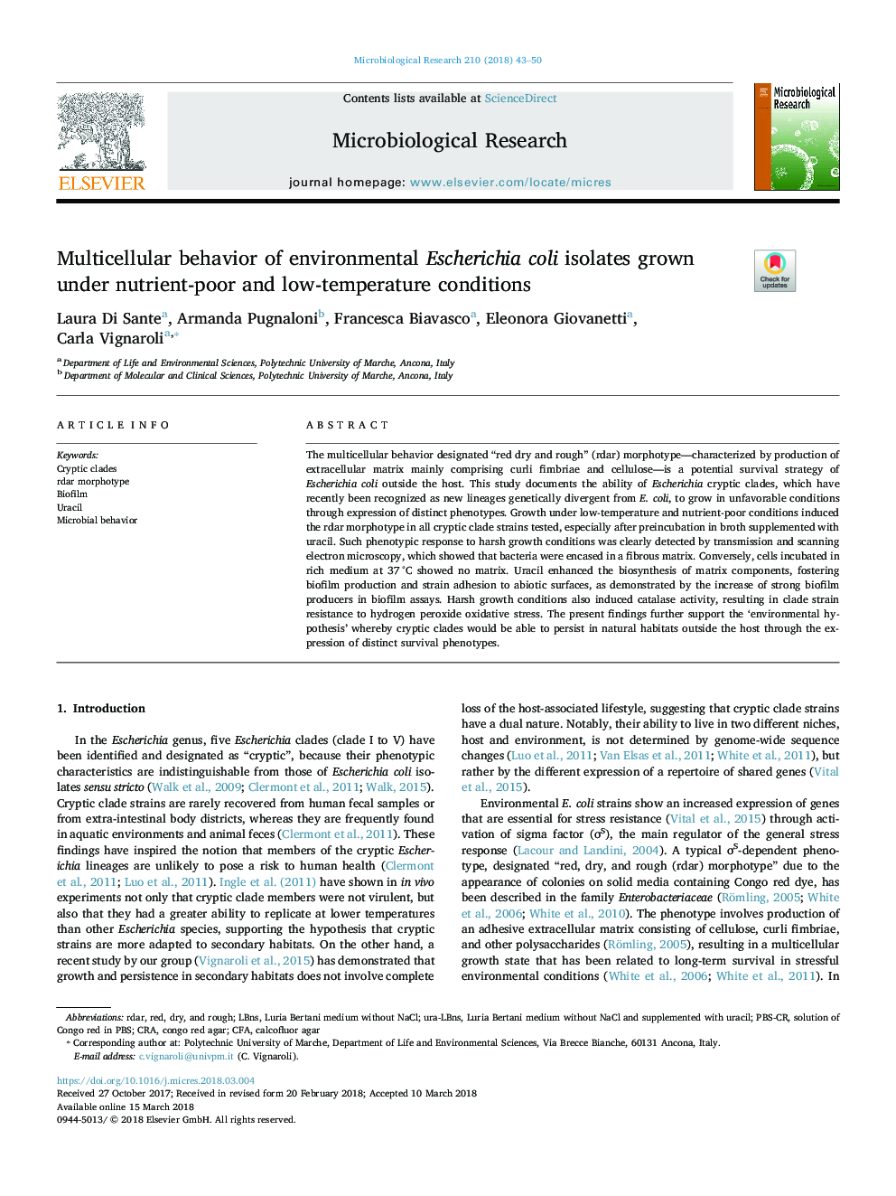 Multicellular behavior of environmental Escherichia coli isolates grown under nutrient-poor and low-temperature conditions