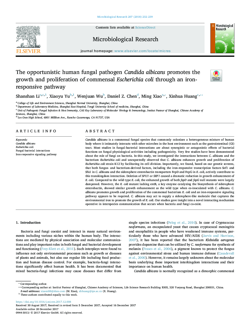 The opportunistic human fungal pathogen Candida albicans promotes the growth and proliferation of commensal Escherichia coli through an iron-responsive pathway