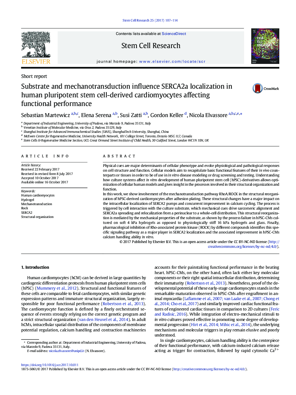 Substrate and mechanotransduction influence SERCA2a localization in human pluripotent stem cell-derived cardiomyocytes affecting functional performance