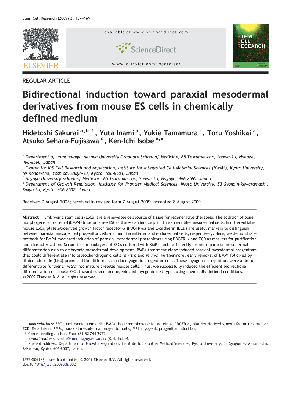 Bidirectional induction toward paraxial mesodermal derivatives from mouse ES cells in chemically defined medium