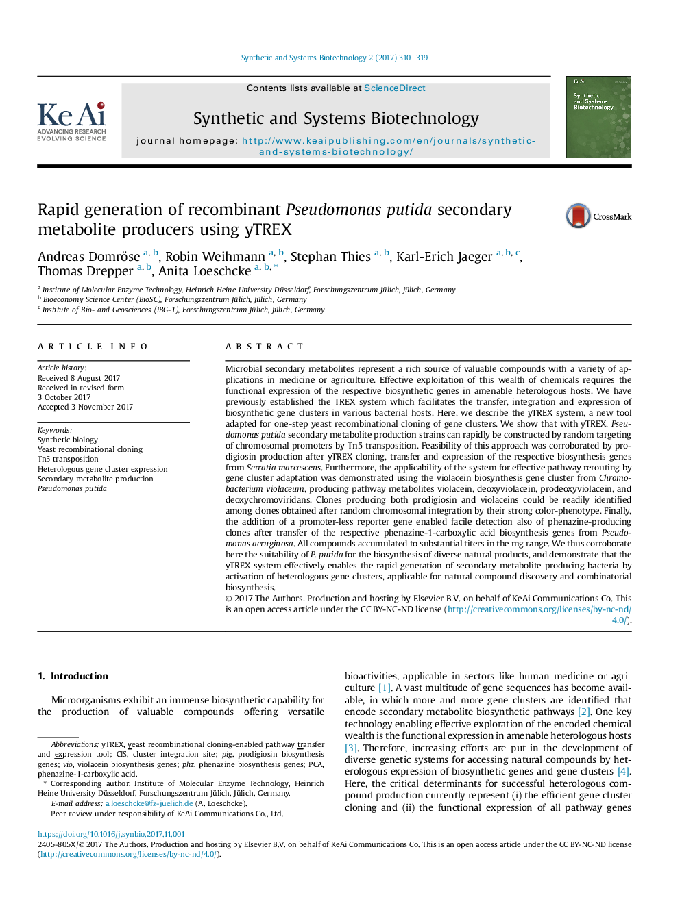 Rapid generation of recombinant Pseudomonas putida secondary metabolite producers using yTREX