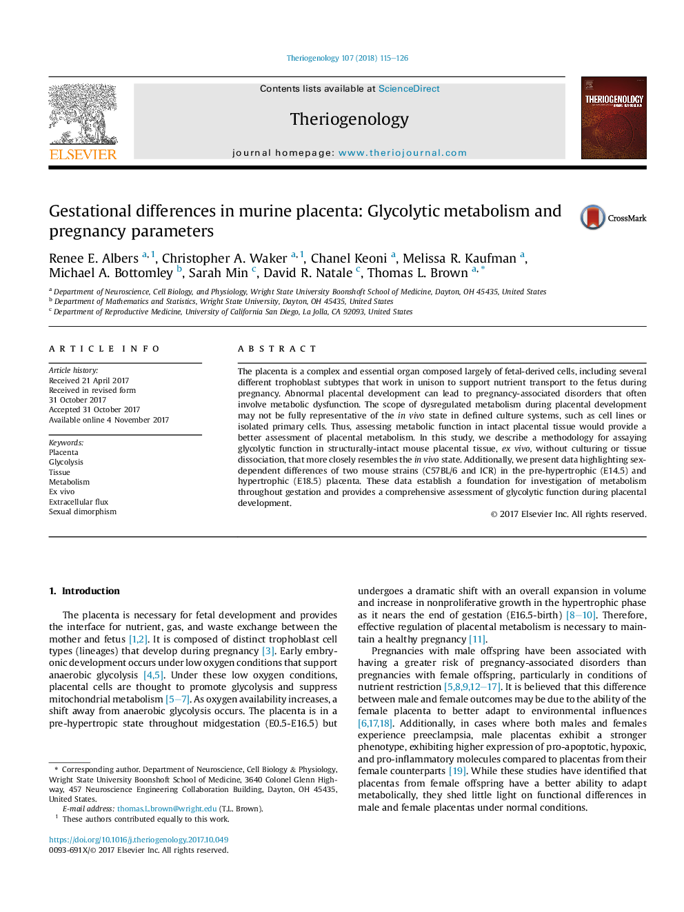 Gestational differences in murine placenta: Glycolytic metabolism and pregnancy parameters