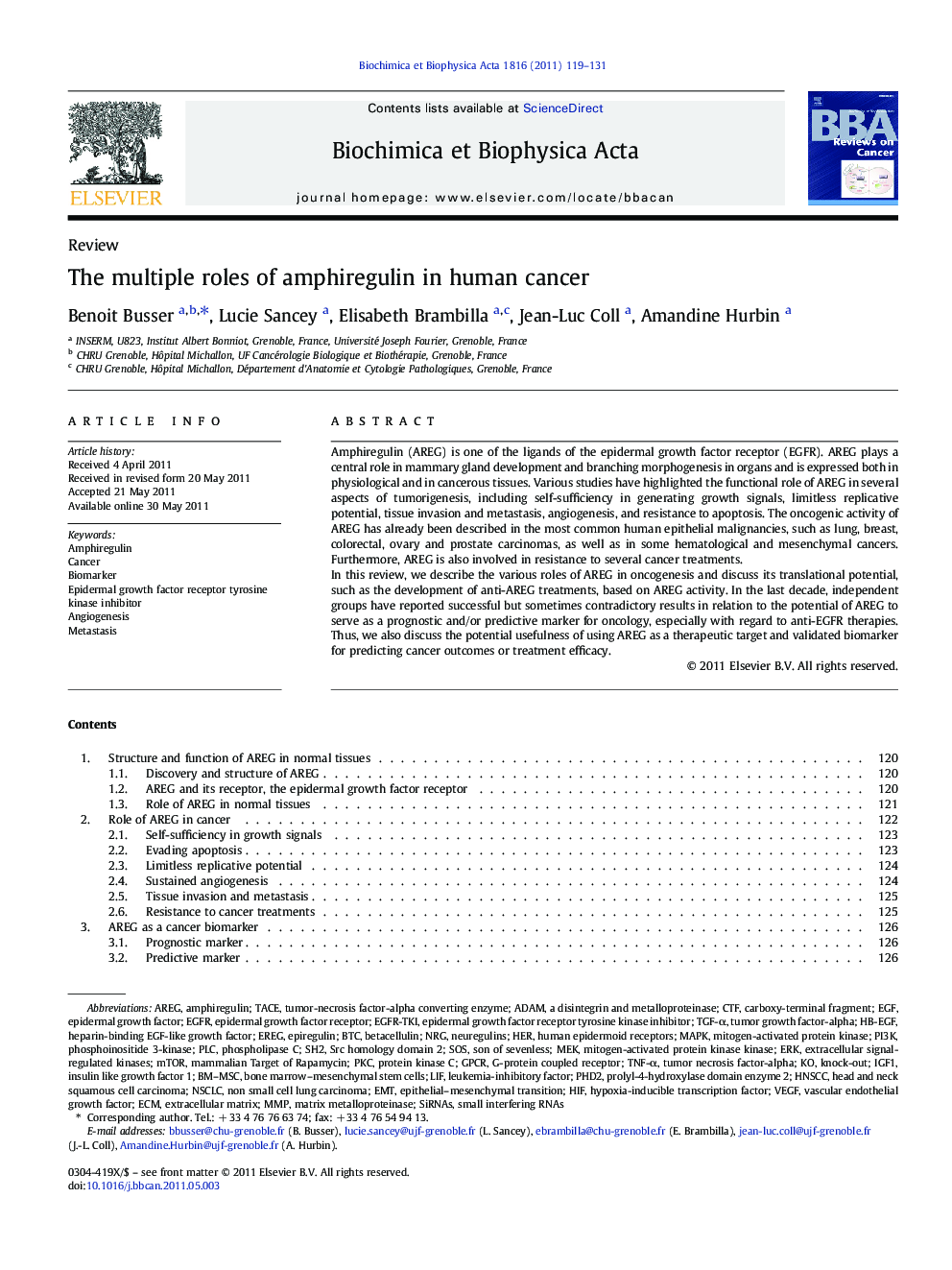 The multiple roles of amphiregulin in human cancer