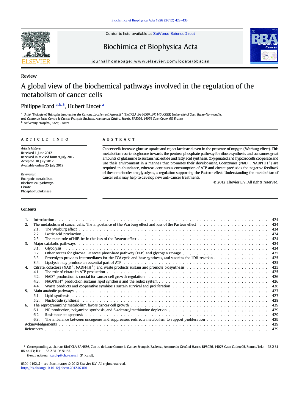 A global view of the biochemical pathways involved in the regulation of the metabolism of cancer cells