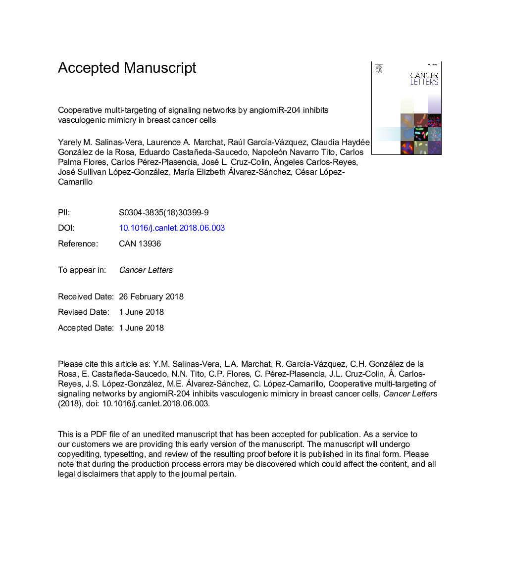 عکس صفحه اول مقاله: Cooperative multi-targeting of signaling networks by angiomiR-204 inhibits vasculogenic mimicry in breast cancer cells Cooperative multi-targeting of signaling networks by angiomiR-204 inhibits vasculogenic mimicry in breast cancer cells