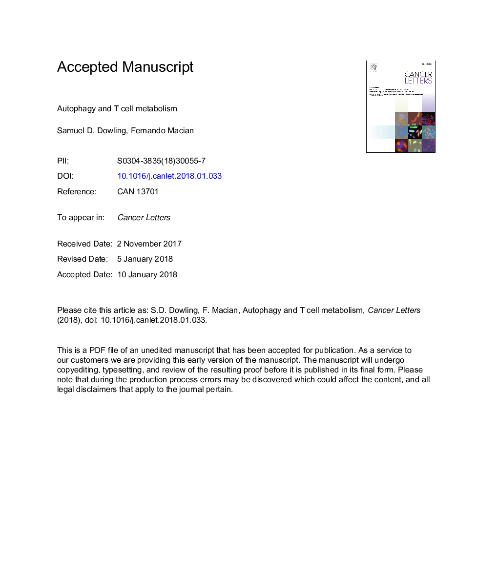 Autophagy and T cell metabolism