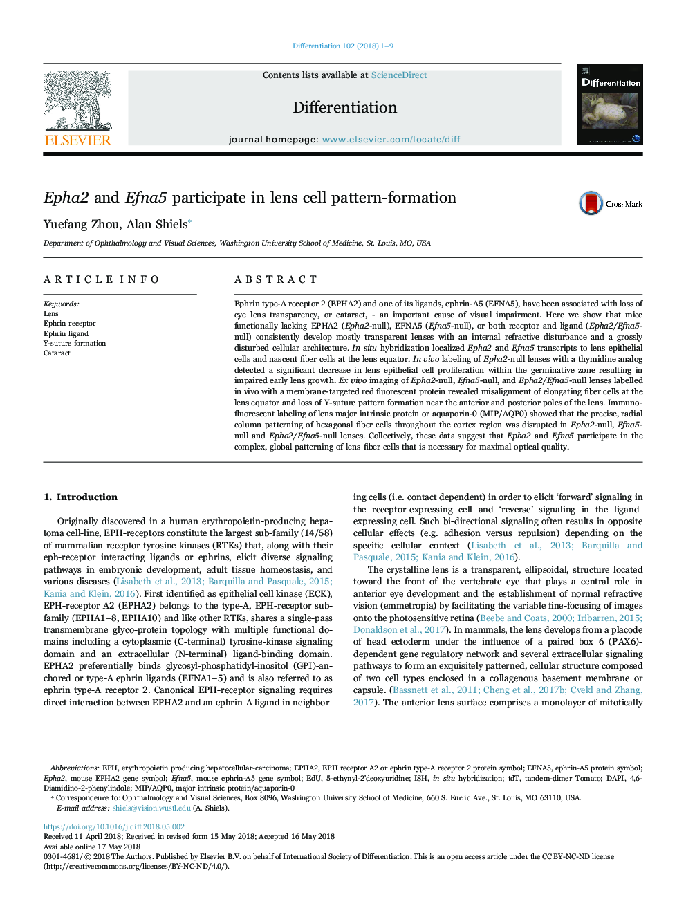 Epha2 and Efna5 participate in lens cell pattern-formation