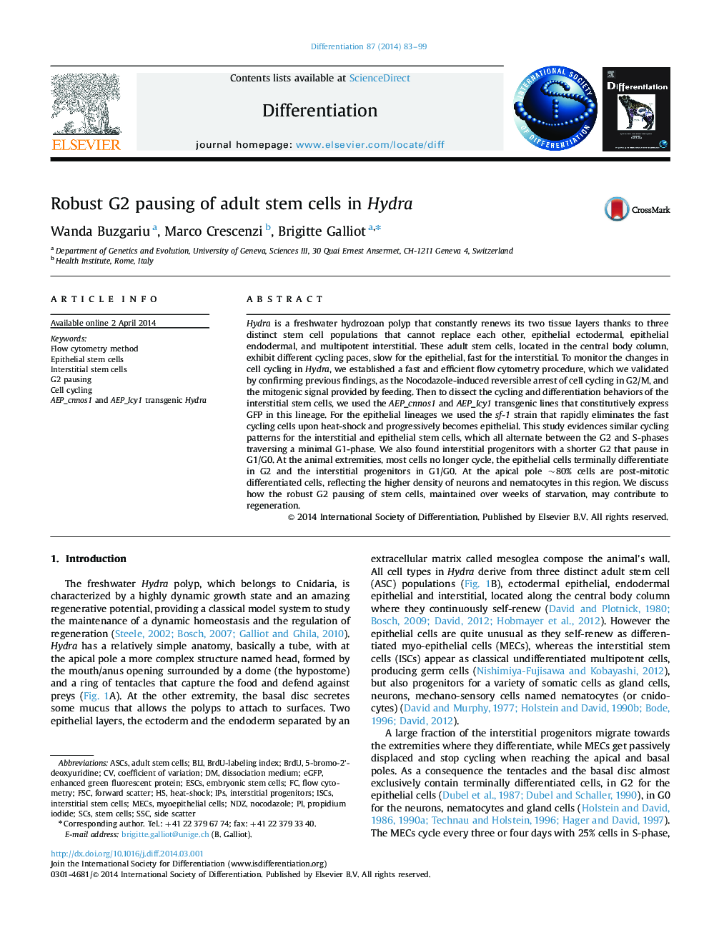 Robust G2 pausing of adult stem cells in Hydra