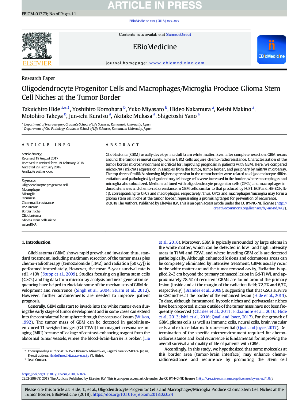 Oligodendrocyte Progenitor Cells and Macrophages/Microglia Produce Glioma Stem Cell Niches at the Tumor Border