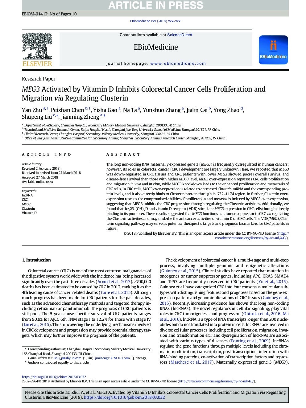 MEG3 Activated by Vitamin D Inhibits Colorectal Cancer Cells Proliferation and Migration via Regulating Clusterin