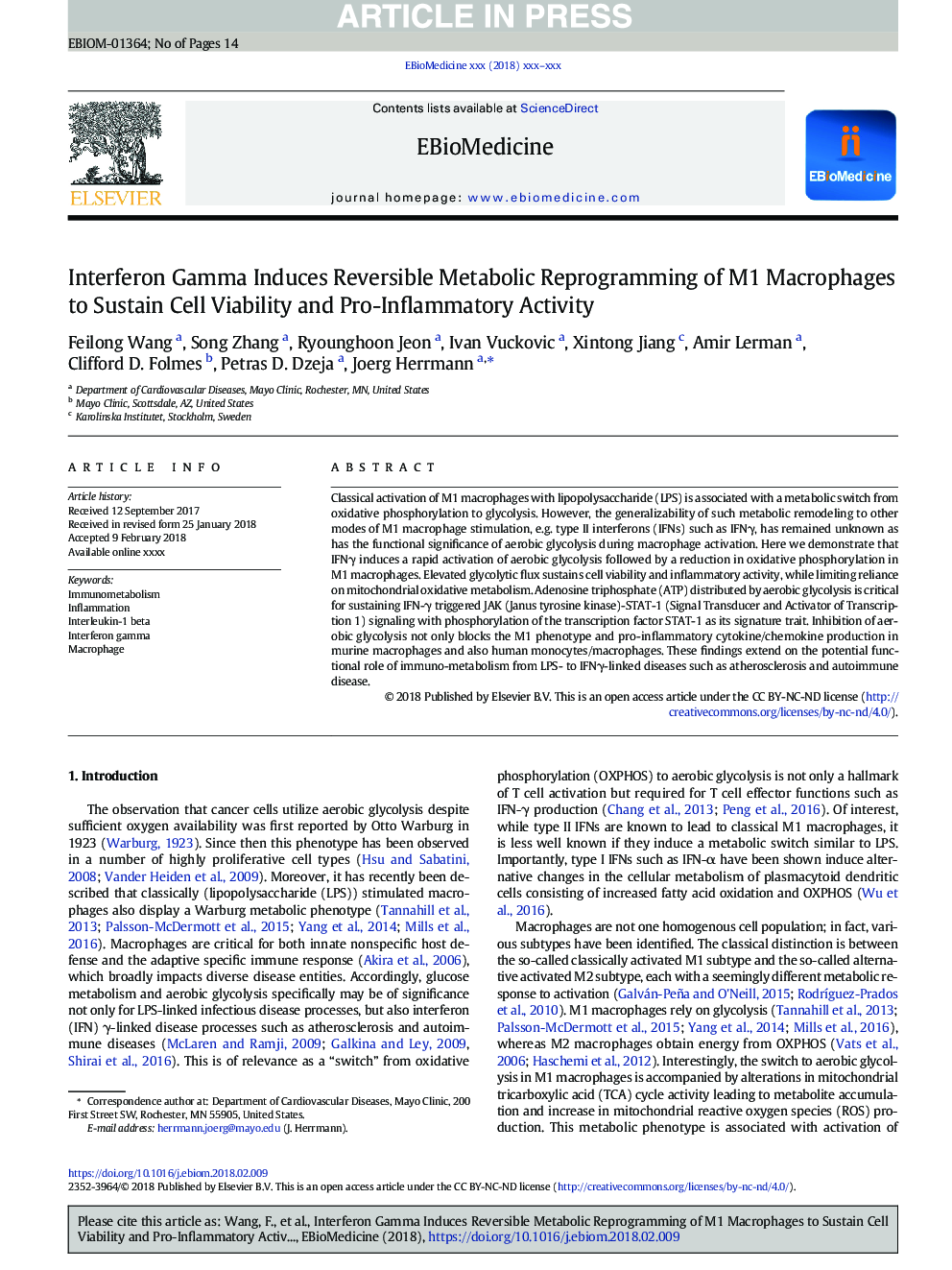 Interferon Gamma Induces Reversible Metabolic Reprogramming of M1 Macrophages to Sustain Cell Viability and Pro-Inflammatory Activity