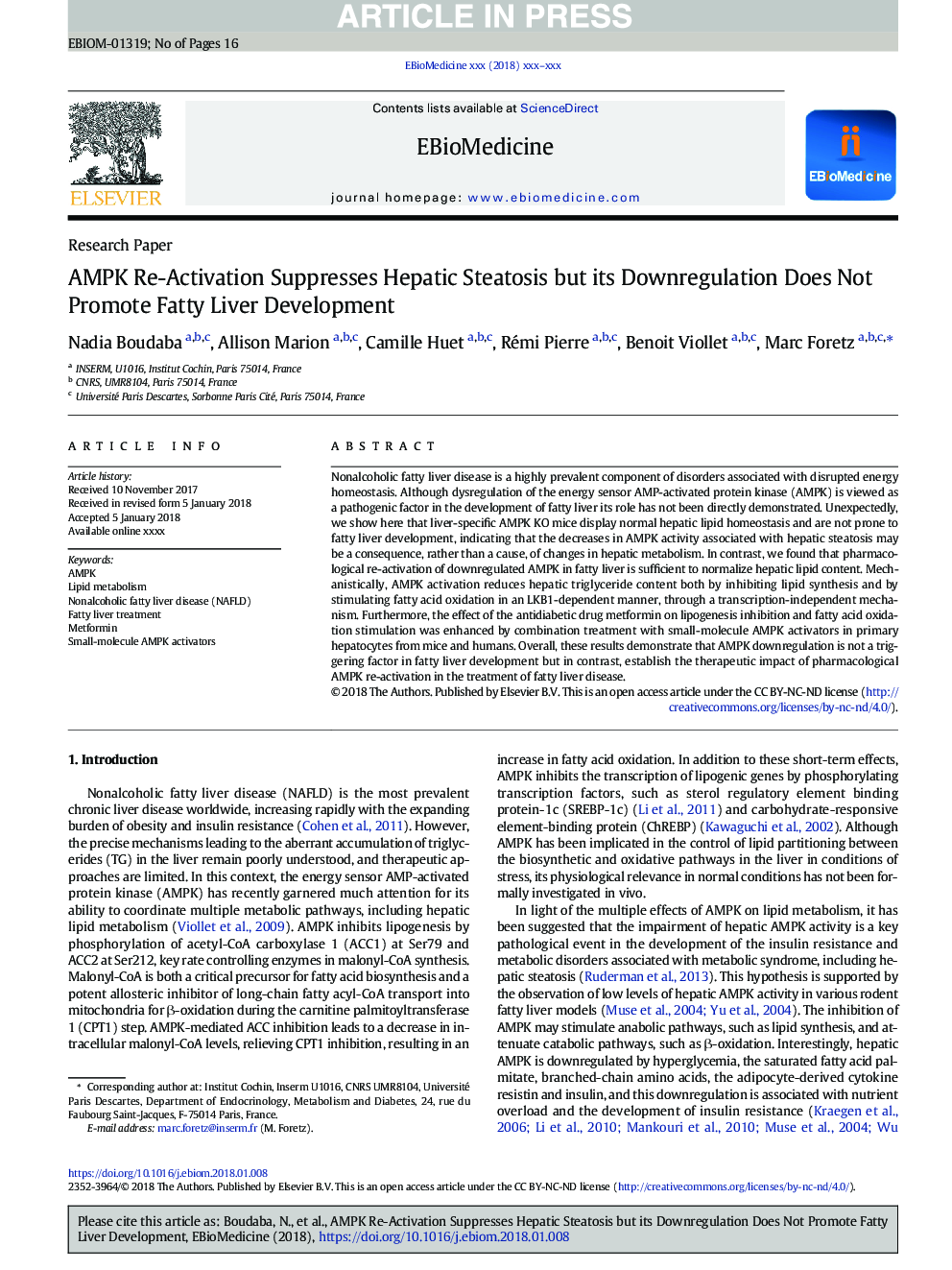 AMPK Re-Activation Suppresses Hepatic Steatosis but its Downregulation Does Not Promote Fatty Liver Development