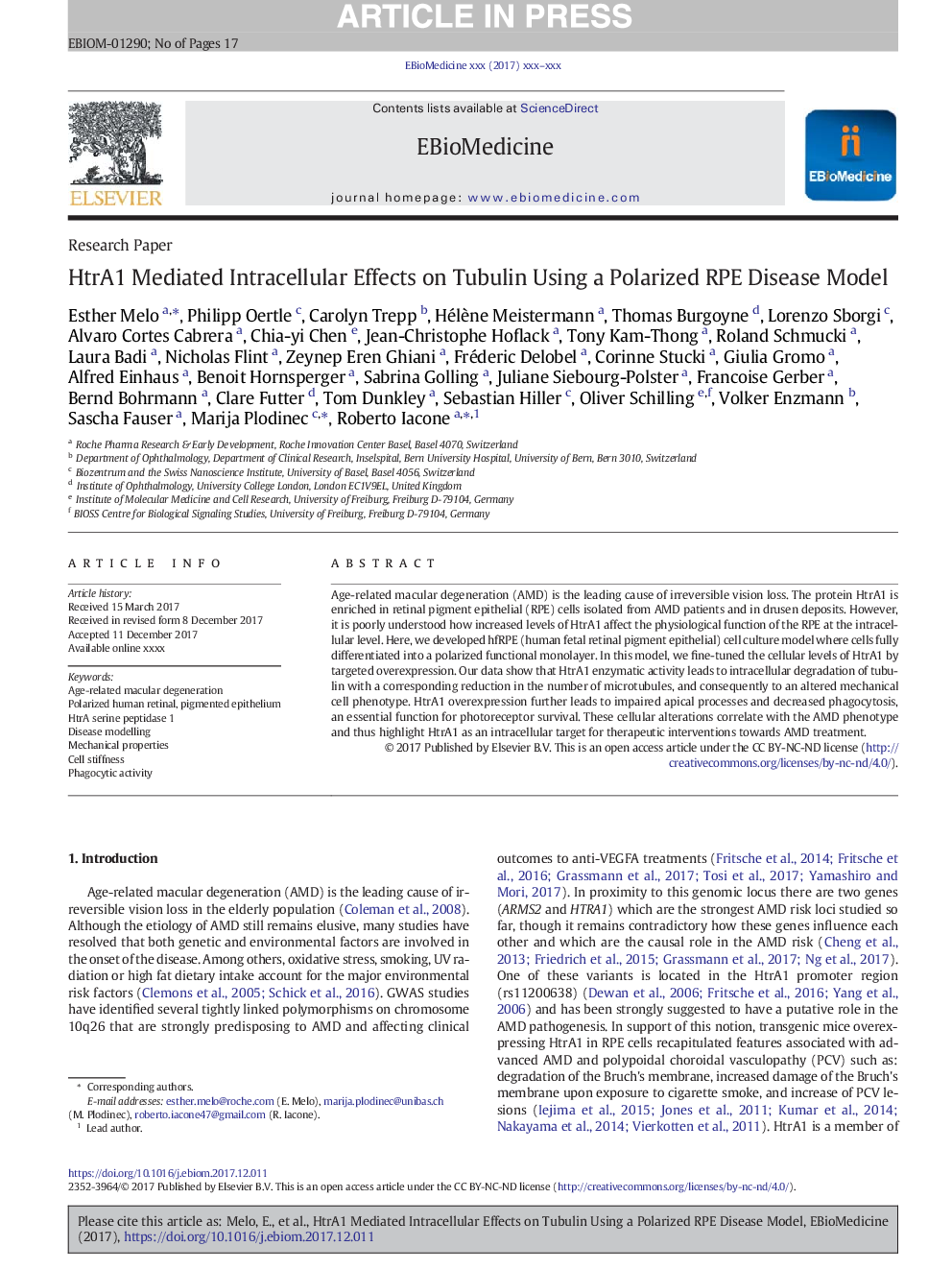 HtrA1 Mediated Intracellular Effects on Tubulin Using a Polarized RPE Disease Model