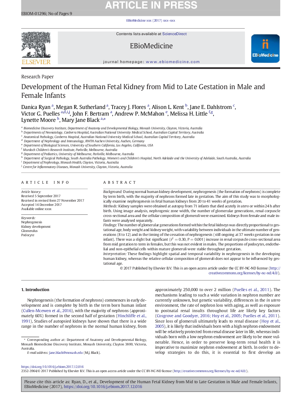 Development of the Human Fetal Kidney from Mid to Late Gestation in Male and Female Infants