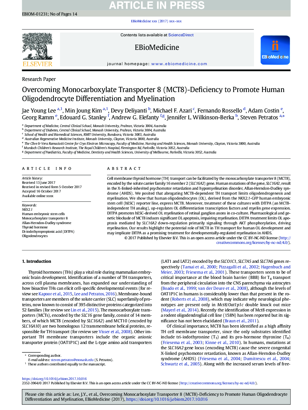 Overcoming Monocarboxylate Transporter 8 (MCT8)-Deficiency to Promote Human Oligodendrocyte Differentiation and Myelination